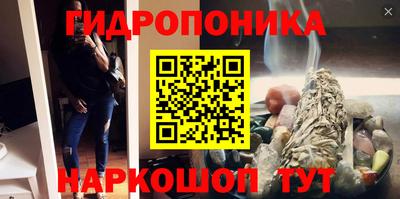 крисы Новодвинск