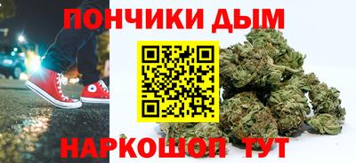 крисы Новодвинск