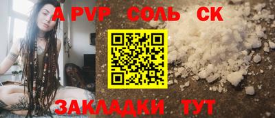 крисы Новодвинск