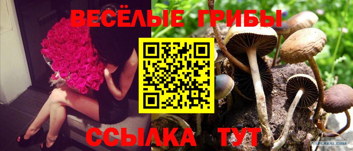 Галлюциногенные грибы Magic Shrooms  Вход с VPN  Семёнов 
